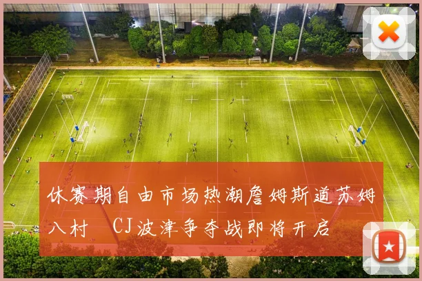 休赛期自由市场热潮詹姆斯道苏姆八村塁CJ波津争夺战即将开启