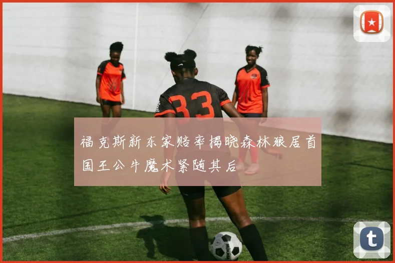 福克斯新东家赔率揭晓森林狼居首国王公牛魔术紧随其后
