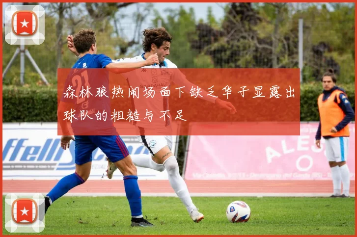 森林狼热闹场面下缺乏华子显露出球队的粗糙与不足